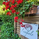 L'usignolo