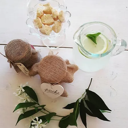 L'usignolo 3* Ascoli Piceno