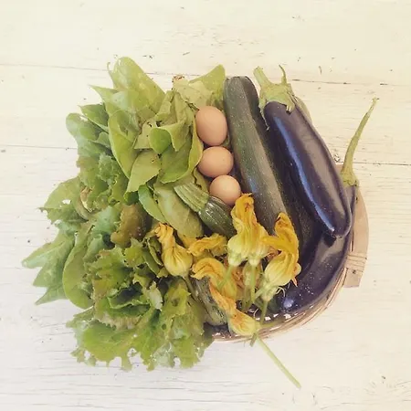 L'usignolo 3* Ascoli Piceno