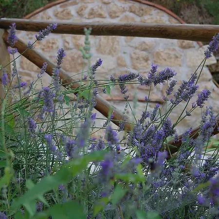 Alojamento de Acomodação e Pequeno-almoço L'usignolo Ascoli Piceno