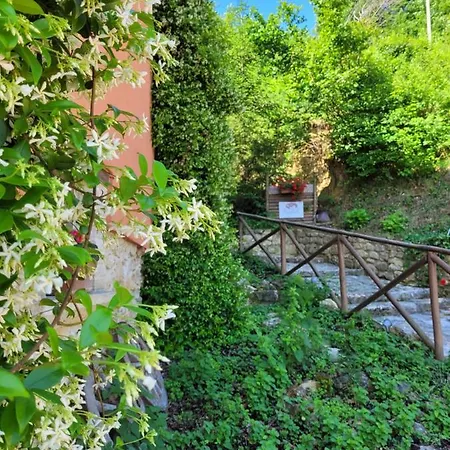 Bed & Breakfast L'usignolo