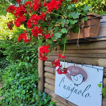 L'usignolo