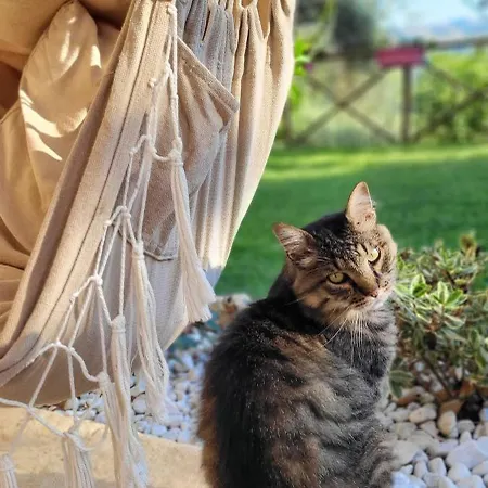 L'usignolo Ascoli Piceno