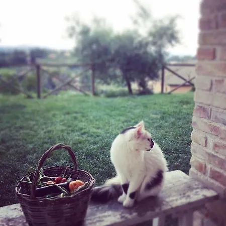 L'usignolo Couette-café Ascoli Piceno