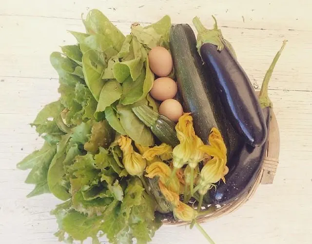 L'usignolo 3* Ascoli Piceno