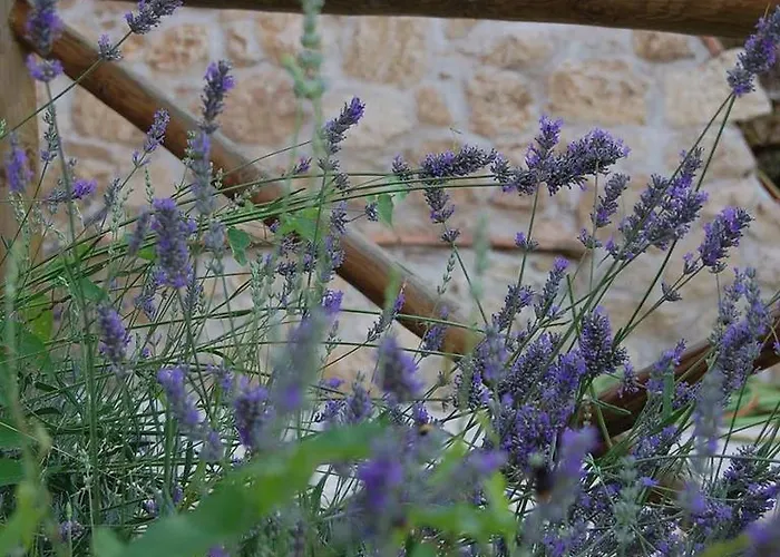 Bed and breakfast L'usignolo Ascoli Piceno